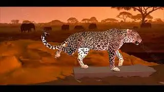 Leopard Animation Shot - Personal