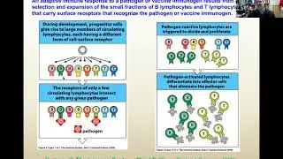 Origins LUHD Coronavirus Function and Modeling with Neil Greenspan and Harsh Mathur