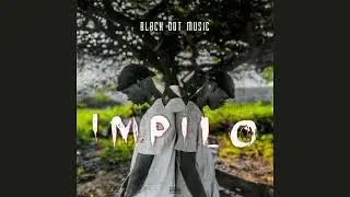 Black Dot Afrika - Impilo (Official Audio)