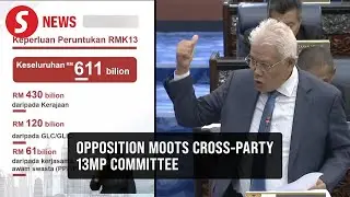Opposition proposes cross-party committee to draw up effective 13MP strategies