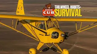 The Habit That Makes Tailwheel Pilots Better &mdash; Use It or Lose It