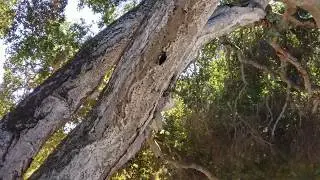 Toro Park - Salinas CA