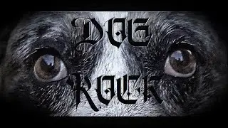 Dog Rock | Sun Dream