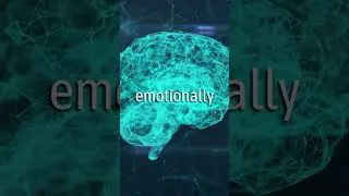 Как человеческий мозг хранит воспоминания? 🧠