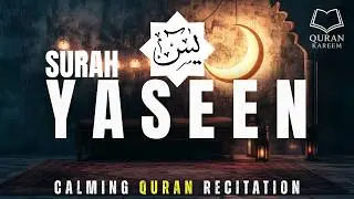 Surah Yasin (سورة يس) Deep Sleep Calm Quran Recitation | Night Meditation | Quran Kareem