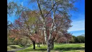 「Canon EOS 60D」HDR Time Lapse+Video