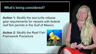 Amendment 49 - Sea Turtle Release Gear and Framework Protocol