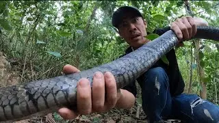 Gi&acirc;y Ph&uacute;t Kịch T&iacute;nh Đối Đầu Rắn Hổ Mang Khổng Lồ Nặng 6kg V&agrave; Đơn Đặt H&agrave;ng Của B&agrave; L&atilde;o 80 Tuổi 