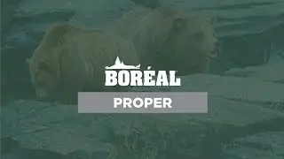Bor&eacute;al and Proper good grain dog food