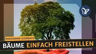 Photoshop Elements Tutorial: Freistellen von Bäumen