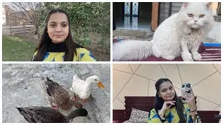 sara bacho ko khula chra😉🫰|| eye liner laga lia😇|| Nails lagwa ai || HF44