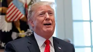 Fact-checking Donald Trump's tweets and comments from 2018