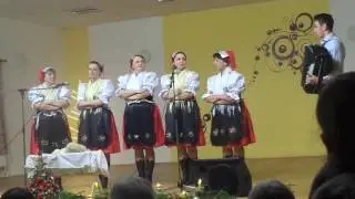 Stavajce gazdo stavajce hore..../&Scaron;afolka zo Zlateho/