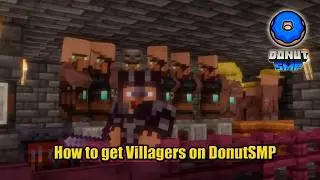 What is the Easiest Way to Get Villagers on DonutSMP???