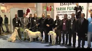 Sivrihisar Tanıtım Filmi