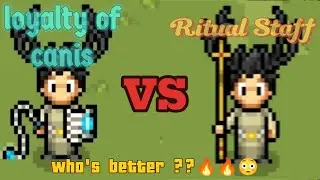 Loyalty of Canis VS Ritual Staff #heartwood  #heartwoodonline