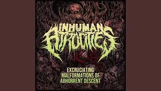 Dimensions Of Torture