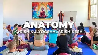 Understanding of Anatomy | Yoga Teacher Training in Rishikesh | Yoga School in Rishikesh #yoga
