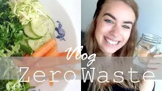 ZERO WASTE LIFE VLOG // Watching River Blue Documentary