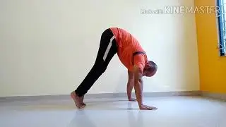 Basic pushpus variation for beginners  part -2