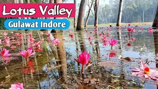 Lotus Valley Gulawat Indore | Perfect Destination for Photoshoot Gulawat Valley Indore