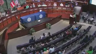 Hundreds show up to City Hall to oppose planned training center | FOX 5 News