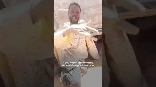 Sudanese refugees rescued after being trapped in Libyan desert for five days