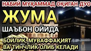 ЖУМА КУНИ ШАЪБОН ОЙИДА ЭНГ ҚУВВАТЛИ ДУО! АЛЛОҲ РИЗҚИНГИЗНИ КЎПАЙТИРАДИ