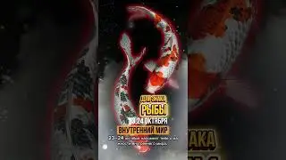 Рыбы гороскоп 23,24 октября #знакизодиака #гороскопсегодня