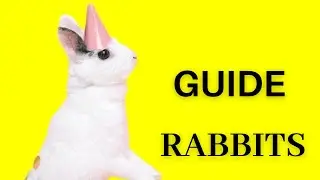 Bunny Bites: A Guide to Rabbit-Safe Foods and Forbidden Treats