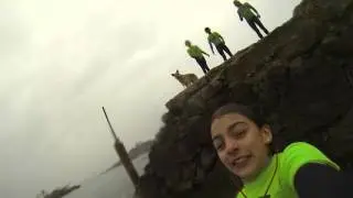 WipeOut