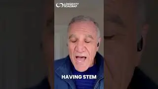 We&rsquo;ve Misunderstood Stem Cells All Along