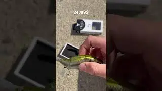 6th Sense Trace Swim Bait 5&rsquo;&rsquo; #fishing