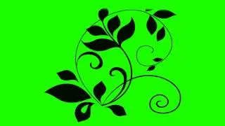 flower flourish animation 02 in green screen free stock footage