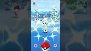 GOTCHA! GOT A SHINY GALARIAN PONYTA AT DECEMBER 2024 COMMUNITY DAY | POKEMON GO