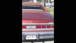 1975 ford thunderbird