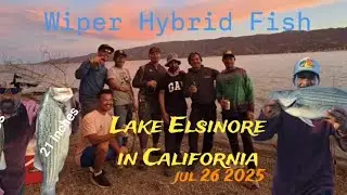Fishing at Lake Elsinore stay overnight 2025