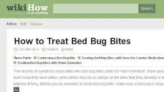 How-To Treat A Horse Fly Bite
