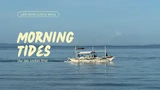 life in bicol — coastal life, MV filming, work, holiday season ✧ living with luyi 