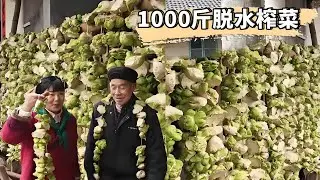 收1000斤風脫水榨菜頭！村裡爺爺自然曬了60天，賣不完就全吃太壯觀了！ 【燕麥行遊】#Farm #tour