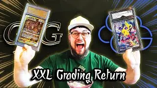 XXL Pok&eacute;mon und One Piece Grading Return 🔥GSG Vs. CCG