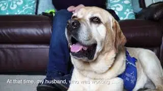 25 years of care from Support Dogs