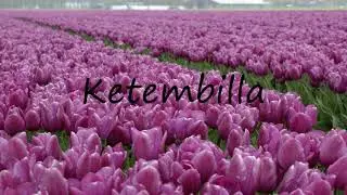 How to Pronounce Ketembilla?