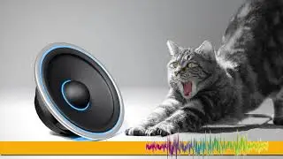 Background Music Deadly March - Sound Effect HD