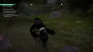AC Valhalla Clues and Riddles Game Less Broken 1.4.1.1