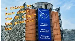 5 things to know about the EU single use plastics ban