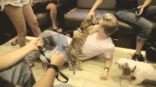 Cody Simpson got a tiger in his tour bus