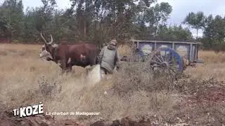 Le charbon de Madagascar