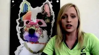 Meet Our Dog Trainer | Paw Commons Hillcrest