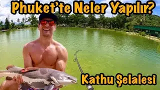 Devasa Balıklar Tuttum ★ Phuket'te 2. Günüm ★ Kathu Şelalesi